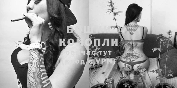 прущие крисы Касимов