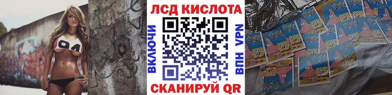 Наркотические марки 1,8мг  где продают наркотики  Кандалакша 