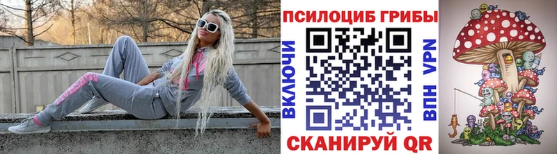 Псилоцибиновые грибы прущие грибы  Кандалакша 