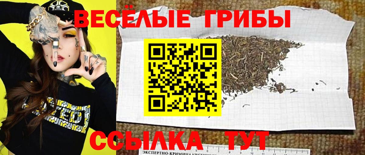 Галлюциногенные грибы Cubensis  Вход с VPN  Кандалакша 